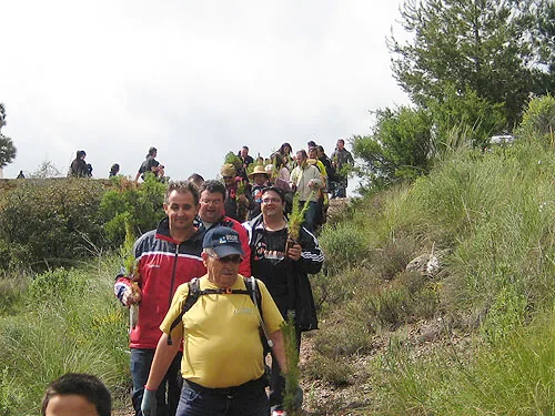 LA PB TOTANA PARTICIPA EN UNA JORNADA DE REPOBLACION DE PINOS — imagen 2