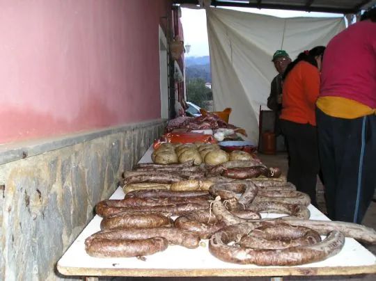 MÁS DE 300 PERSONAS PARTICIPAN EN LAS JORNADAS DE CONVIVENCIA DÍA DEL SOCIO ORGANIZADAS POR LA PEÑA BARCELONISTA DE TOTANA — imagen 4