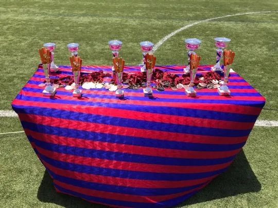 ÉXITO EN EL I TORNEO SOLIDARIO "DEITANIA URBS" ORGANIZADO POR LA PEÑA BARCELONISTA DE TOTANA — imagen 8