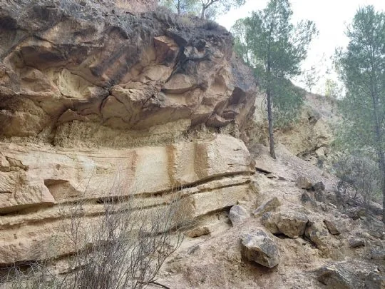 Senderismo, camino de la reinserción para ayudar a las personas privadas de libertad del Centro Penitenciario de Murcia. — imagen 2