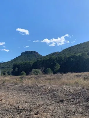 Nueva salida programada del CP Murcia I — imagen 5