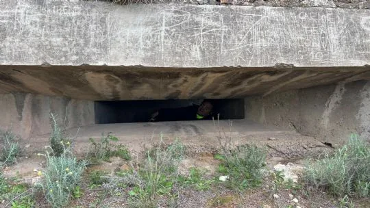 La Peña Barcelonista de Totana impulsa la inclusión social a través del programa Senderos de Libertad en el Centro Penitenciario Murcia I (Sangonera la Verde) — imagen 7