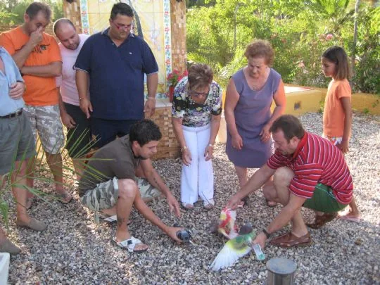 LA PB TOTANA Y LA ASOCIACION DE COLOMBICULTURA DE TOTANA PRESENTAN EL CARTEL DE LAS FIESTAS DE LA PALOMA — imagen 2